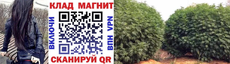 Купить наркотик Энем Героин  Мефедрон  Гашиш  Конопля  COCAIN  СОЛЬ 