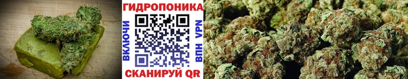 ОМГ ОМГ рабочий сайт  Энем  Canna-Cookies марихуана 