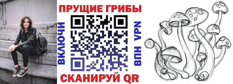 Псилоцибиновые грибы GOLDEN TEACHER  Энем 