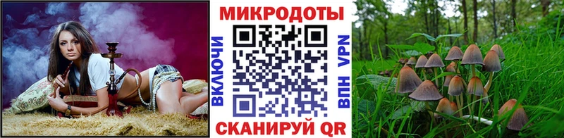 Псилоцибиновые грибы MAGIC MUSHROOMS Энем
